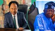 "Source of acrimony": Shehu Sani reacts as Tinubu creates ministry of livestock development