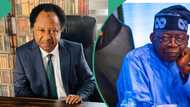 "Source of acrimony": Shehu Sani reacts as Tinubu creates ministry of livestock development