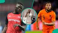Nigerians slam Boniface for gifting Super Eagles jersey to Netherlands striker