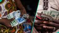 Naira exchange rate rises by N10 against US dollar