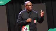 Ondo guber election: Peter Obi’s reconciliation fails as 2 Labour Party candidates emerge