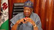 Another Twitter ban? Lai Mohammed drops bombshell about social media
