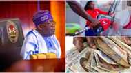 4 extraordinary issues President Tinubu needs to address urgently