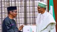 Scrap Nigerian constitution, adopt 1963 Republican Charter, Sagay tells FG
