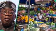 Journalist recommends solutions to Nigeria's food security problem