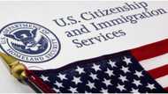 US imposes visa ban on ‘Undemocratic’ Nigerians, gives reason