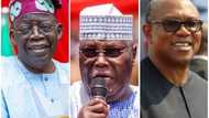 2023 presidency: Message for Tinubu, Atiku, Obi as well-known prophet reveals next president