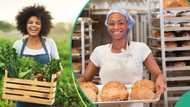 Manufacturers, Farmers, SMEs to stop paying withholding tax – FG