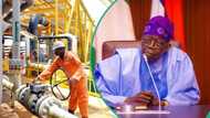 FG releases new owners of oil wells in Nigeria as MRS, TotalEnergies, others emerge winners, NNPC loses