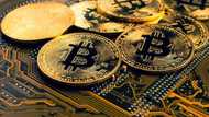 Bitcoin investors see red as over 300,000 crypto traders lose N952bn in investment