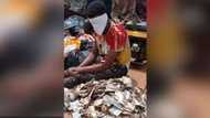 Fear of God diminishes as young man steals over N600k from offering basket in church