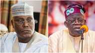 'It is a lie": Atiku Abubakar denies validating 2023 presidential election