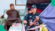 Shettima knocks Peter Obi: "Master of bogus statistics"
