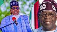 Tribunal judgement: Buhari reacts to President Tinubu’s victory