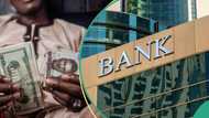 Top US bank predicts exciting new Naira to Dollar exchange rate in 2024