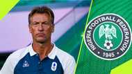 Hervé Renard explains reason why he turned down the Super Eagles coaching job