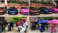 DJ Cuppy, Temi Otedola react as Ikorodu Boiz recreate photos of their Ferrari cars with wheelbarrows
