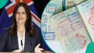 New Zealand lists 6 key conditions foreigners must meet for work exchange visa