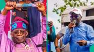 Okpebholo orders Edo cabinet to wear Tinubu-branded cap to meeting: "You'll be sent back"