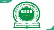 The Bauchi State scholarship — what it's worth, who qualifies, and how to apply before the deadline