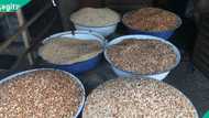 Traders increase prices for beans across major markets
