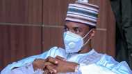 Amid Twitter ban, Buhari's aide posts controversial statement on Facebook, Nigerians react
