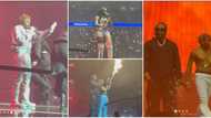 Asake Live @ 02 Arena: Tiwa Savage, Olamide, Fireboy & Others storm London for singer's concert, clips trend