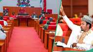 Video: Why N29m is not enough earning for senators, ex-lawmaker gives reasons