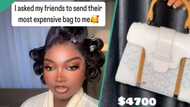 Papaya Ex's friends display classy designer bags worth N190m, netizens react: "They are all vanity"