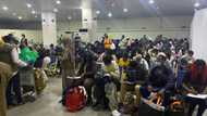 Jubilation as another batch of evacuees arrive Nigeria from Ukraine
