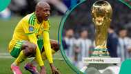 "Go home and protect your jobs": Nigerians celebrate as South Africa crash out of World Cup