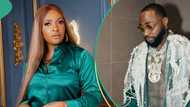 Blessing CEO's Instagram account disappears few hours after dragging Davido online