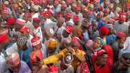 Abubuwa sun fara kankama, Peter Obi da Kwankwaso za su iya hada-kai a zaben 2023