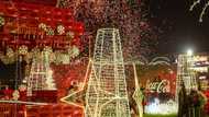 Coca-Cola Puts on a Magical Christmas Display!