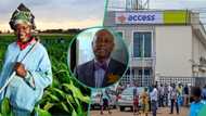 Access Banks goes fully into agriculture, unveils new desk to cater to agribusiness