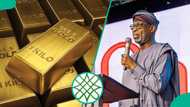 FG responds as Northern elders fault alleged location of proposed 'national gold refinery' in Lagos