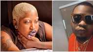 Exposed my beautiful self to a bunch of unintelligent fanatical sheep, Temmie Ovwasa slams Olamide-owned YBNL