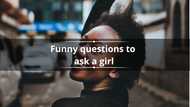 170+ funny questions to ask a girl for a memorable conversation