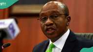 Breaking: Court orders EFCC to immediately release former CBN Governor Emefiele