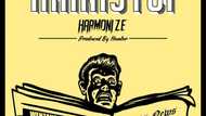 Listen to the fresh banger by Harmonize - Hainistui