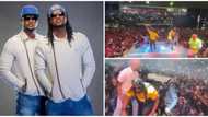 Dem be 1 no be 2: Psquare holds first music concert following their reunion after 5 years