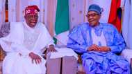 Southeast politician Simon Okeke asks Buhari, CJN to stop Tinubu's inauguration, gives reason