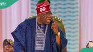 Tinubu reveals plan to reconstitute federal universities governing councils
