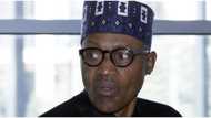 Nigeria's GDP to crash in Q1, Bismarck Rewane's FDC projects