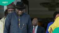 Goodluck Jonathan: Senior advocate of Nigeria explains why PDP runs risk of not having candidate at all