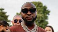 Givers never lack: Many surround Davido as he makes dollars rain at airport in viral video, fans react