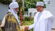 Irin kokarin da Buhari ya yi don ganin ba a tsige Sanusi II ba - Fadar shugaban kasa