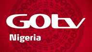 GOtv Nigeria Remains Unmatched in Nigeria’s Digital Broadcasting Race
