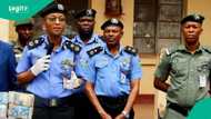 Fear as over 5,450 people killed in Benue, Plateau, others, details emerge