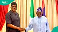 Breaking: Tinubu appoints former Ekiti governor Ayodele Fayose as REA chairman